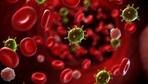 Ung thư máu - Hình ảnh minh họa